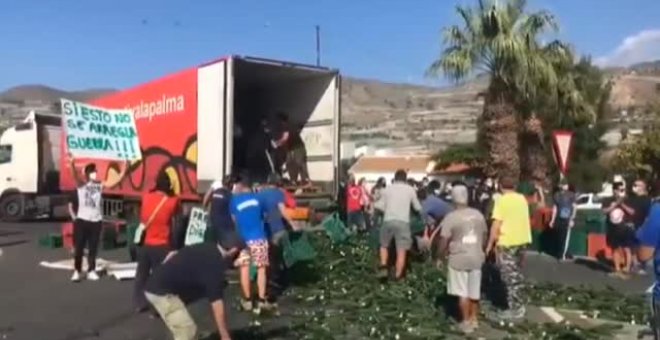 Agricultores granadinos arrojan miles de kilos de pepinos a la carretera en protesta por los bajos precios