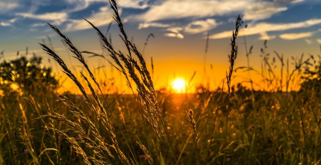 k?osTICa - La captura de carbono para mejorar la soberanía alimentaria