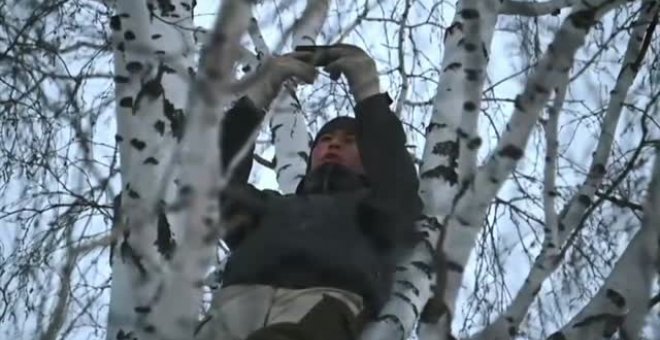 La falla de comunicación en Siberia obliga a un joven a escalar a un árbol para poder estudiar online