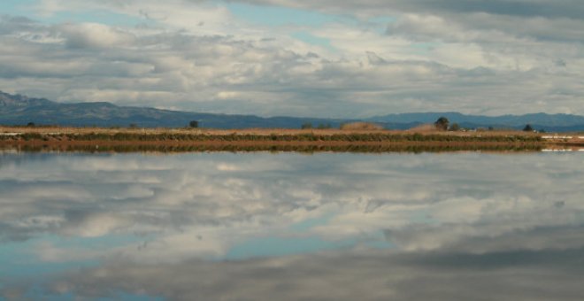 La ecología en la agenda política española