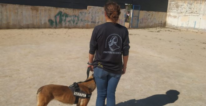 Perros de refugio para empoderar a víctimas del machismo en la España vacía
