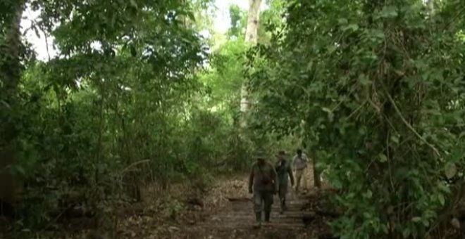 El Valle de Zongo, en Bolivia, esconde 20 especies nuevas de flora y fauna