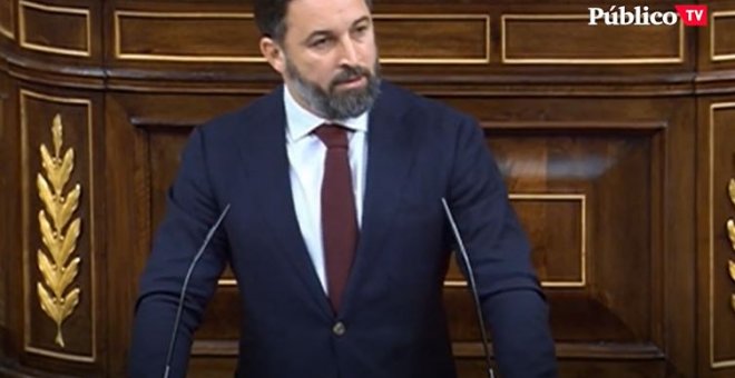 Abascal en el Congreso: "No necesitamos miles de inmigrantes ilegales al año para pagar las pensiones"