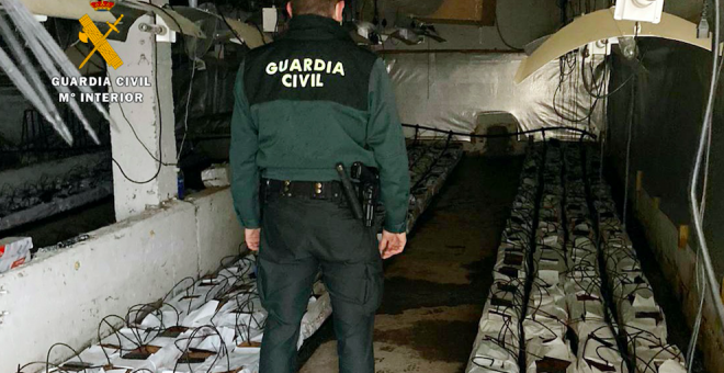 El incendio de una cabaña descubre una instalación para 2.300 plantas de marihuana