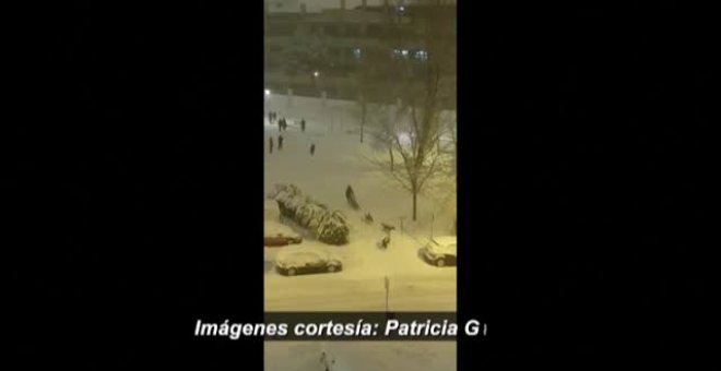 Perros tirando de trineos en pleno Madrid para moverse por la nieve