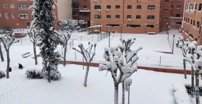 Fuertes nevadas en Alcalá de Henares por la borrasca 'Filomena'