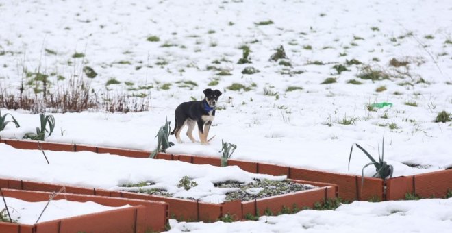 Asturies bajo la nieve