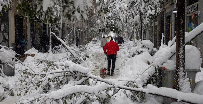 Los asegurados están cubiertos ante los daños del temporal Filomena