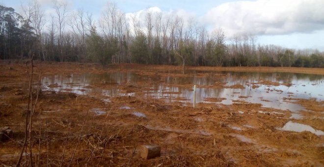 Podemos anuncia medidas legales por el "atentado ecológico sin precedentes" en la restauración ambiental de Morero