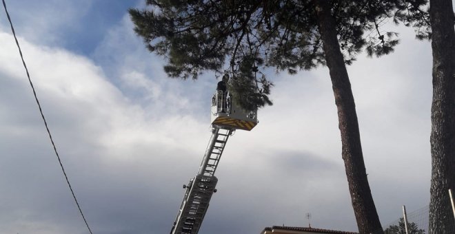 El viento provoca 87 incidencias en Cantabria, con caída de árboles, desperfectos en infraestructuras y daños en vehículos