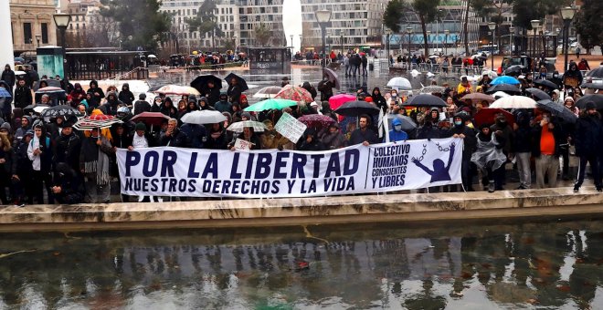La Policía multa a 216 participantes de la manifestación negacionista en Madrid