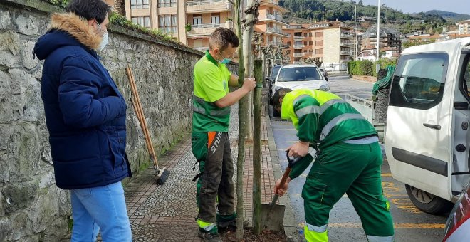 Castro Urdiales inicia la plantación de marras del arbolado