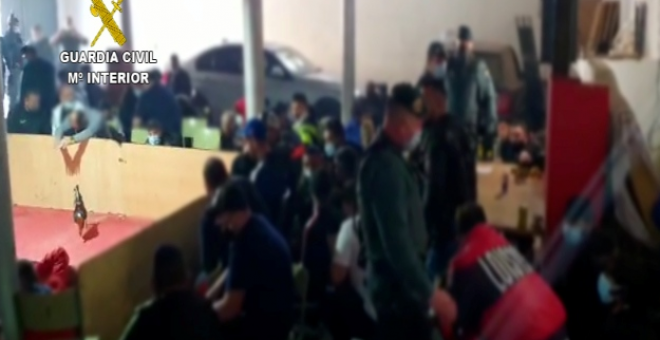 La Guardia Civil disuelve una pelea ilegal de gallos en la que se encontraban 89 personas en El Ejido
