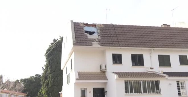 Una palmera derribada por el viento en Málaga cae sobre el tejado de una vivienda