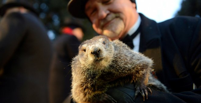 Phil, la marmota de Punxsutawney, vaticina seis semanas más de invierno