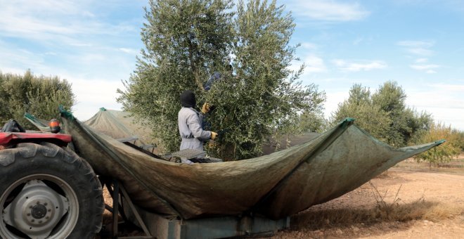 Més proximitat amb el món agrari, l'altra cara de la Covid