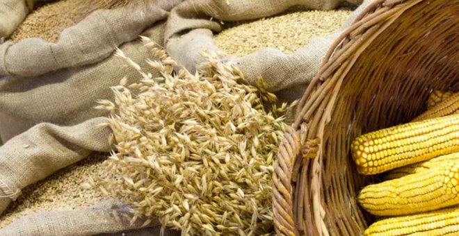 Otras miradas - De matojos silvestres a cultivos: ¿cómo ha domesticado el hombre el trigo, el maíz y otras plantas?