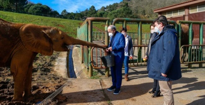 La 'Visita Salvaje' de Cabárceno logra la Q de Calidad Turística