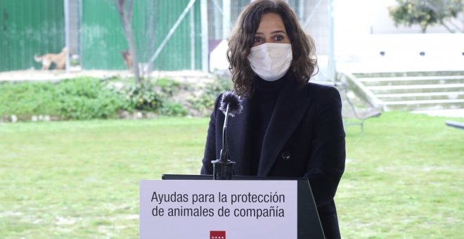 Madrid adelantará ayudas a entidades que fomentan protección de animales