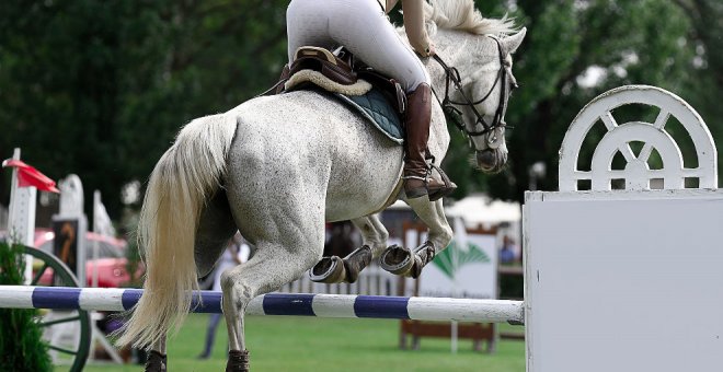 Varios caballos intoxicados y al menos uno fallecido durante un concurso nacional de hípica en Cantabria