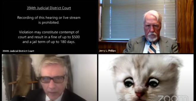Un abogado protagoniza una surrealista audiencia virtual: "Les juro que no soy un gato"