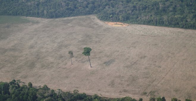 El banco francés BNP no financiará a quienes exploten zonas de la Amazonía transformadas para uso agrícola