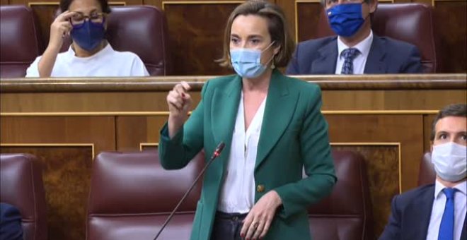 Calvo al PP sobre el cambio de sede: "Aunque la mona se vista de seda, procuren que no se quede mona"