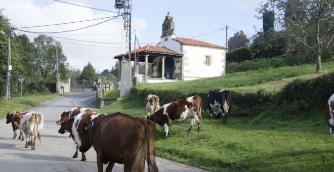 Xixón, más allá de la ciudad