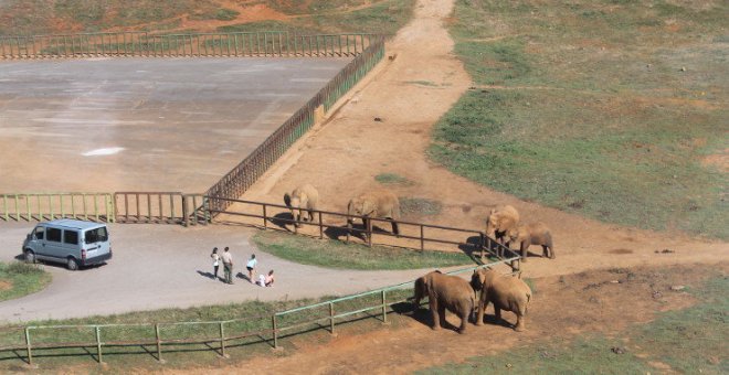 La Fundación Franz Weber cree que la muerte del cuidador de Cabárceno "debe abrir el debate sobre los zoos"