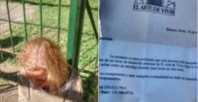 Bulocracia - La foto de la chica perdida que "no sabe quién es"