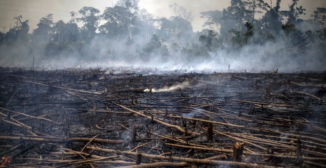 Y la guerra contra la Tierra desembocó en una pandemia global