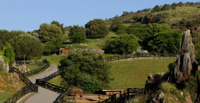 El parque de Cabárceno recuperará la zona de 'Los Jardines', con su laberinto de senderos y zonas de descanso