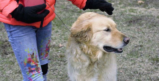 Una familia de Parbayón pide colaboración para entrenar a un perro de ayuda para su hijo con autismo
