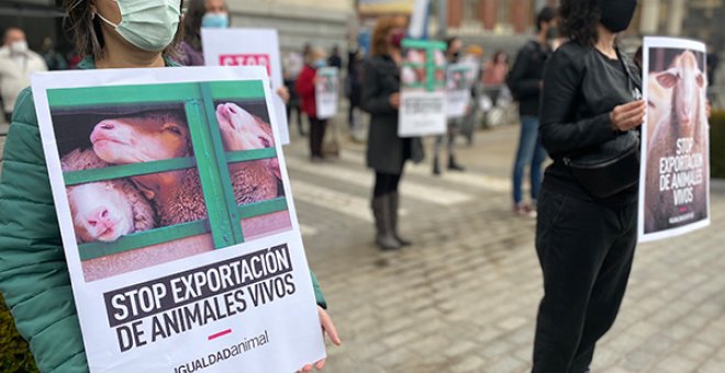 Igualdad Animal protesta frente al Ministerio de Agricultura para que España prohíba la exportación de animales