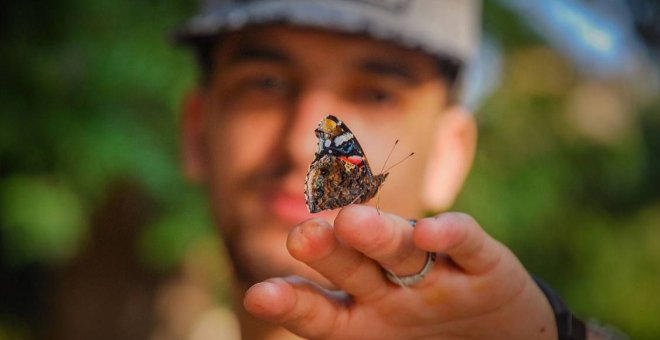 Un corredor de hogares humanos para ayudar a millones de insectos