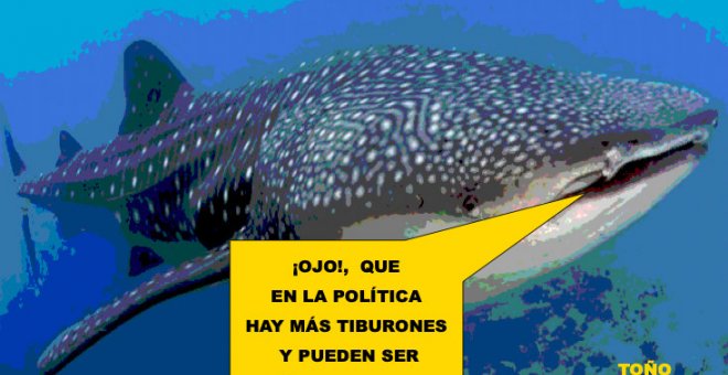 Los tiburones de la política