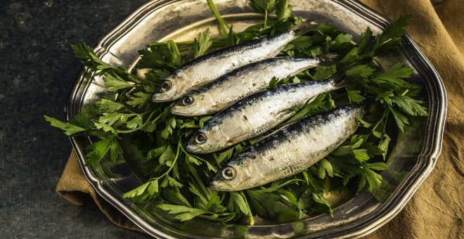 Los pescados de temporada para consumir en primavera