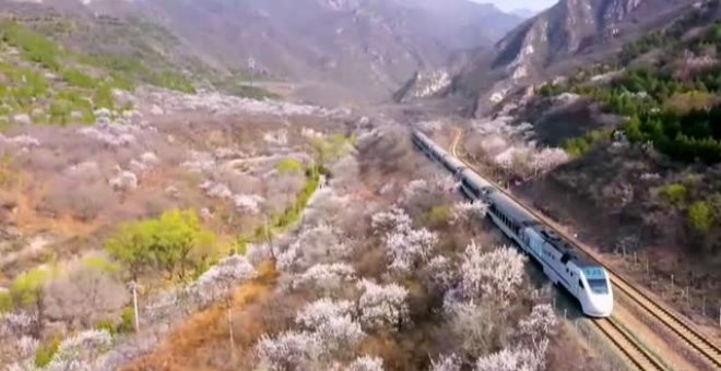 El inicio de la primavera atrae a miles de turistas en China