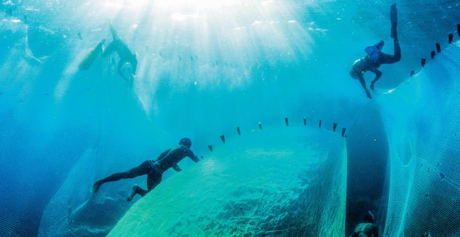 La nueva iniciativa a nivel mundial para acabar con la basura marina y limpiar los océanos