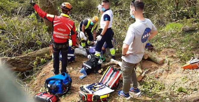 Un hombre de 63 años resulta herido tras caerle un árbol en una pierna en una pista forestal de Bareyo