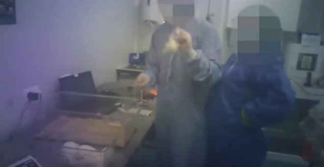 Clausurado un laboratorio de investigación animal por posibles malos tratos