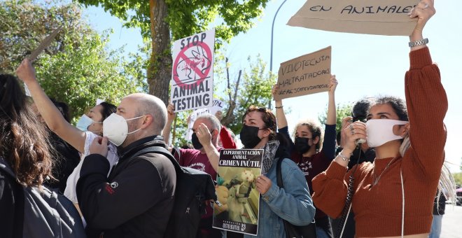 La Fiscalía abre diligencias para investigar el maltrato animal en el laboratorio Vivotecnia