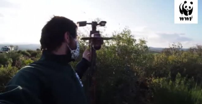 Una ventana se abre a la naturaleza más inaccesible de Sierra Morena