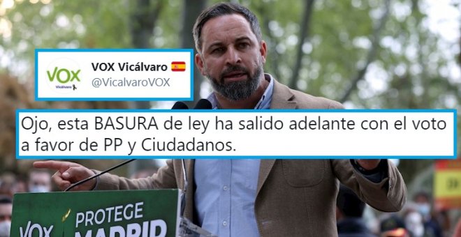 "¿Están furiosos porque la pederastia tarde más en prescribir?": críticas a Vox por un tuit en el que califican de "basura" la nueva ley de la infancia