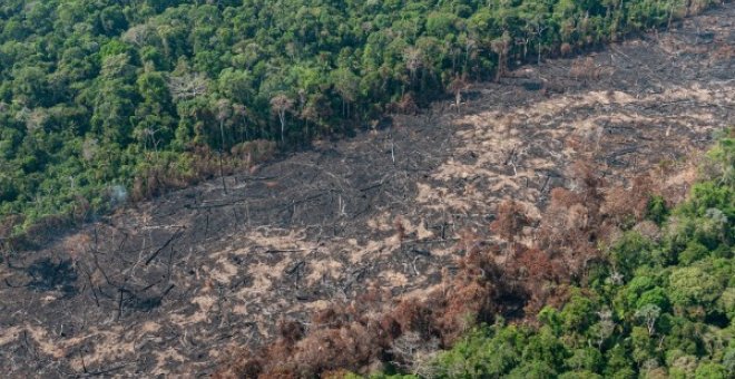 España, tercer país de la UE con mayor impacto en la deforestación tropical