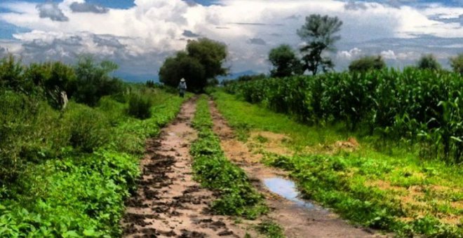 La felicidad: el oscuro deseo de alcanzar