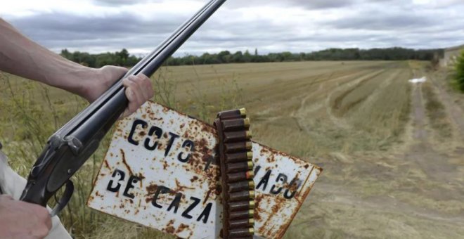 Castilla-La Mancha culpará de los delitos de caza al dueño del coto cuando no se identifique al autor