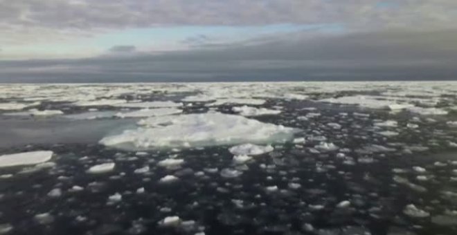 Casi todos los glaciares del mundo están perdiendo masa, según un estudio publicado en la revista científica Nature