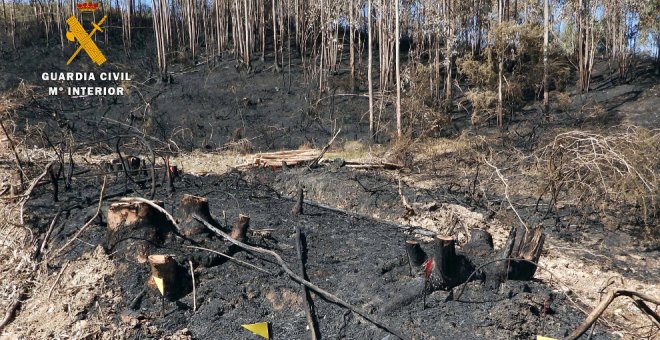 Dos nuevos investigados por incendios forestales en Sámano e Isla que quemaron más de 20 hectáreas