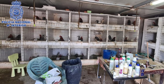 Desarticulada una banda criminal dedicada a las peleas de gallos y a la venta de cocaína en Toledo y Guadalajara